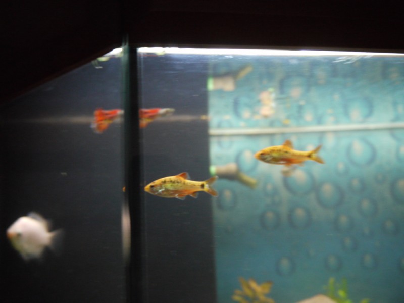 P1080201.jpg
