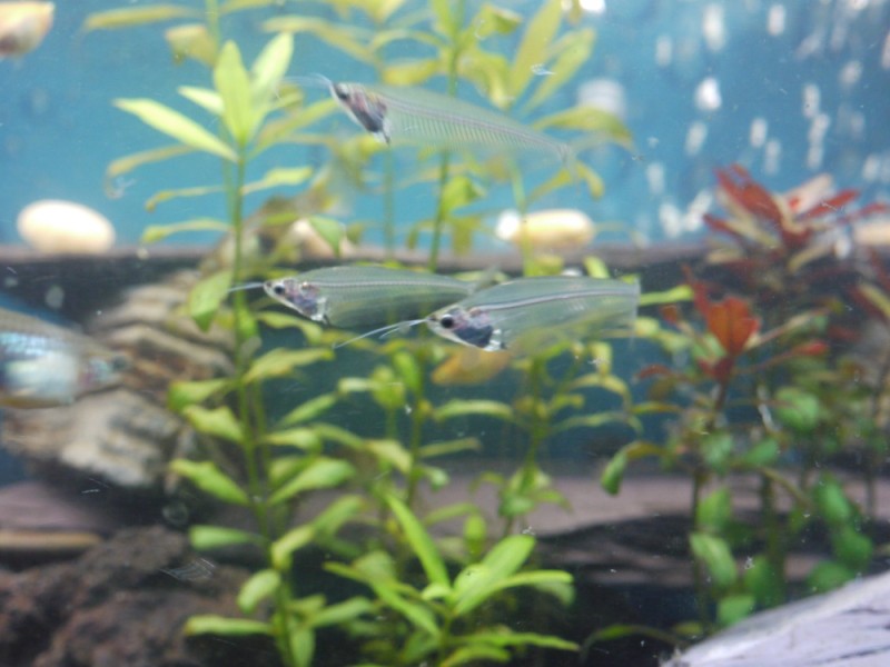 P1080177.jpg