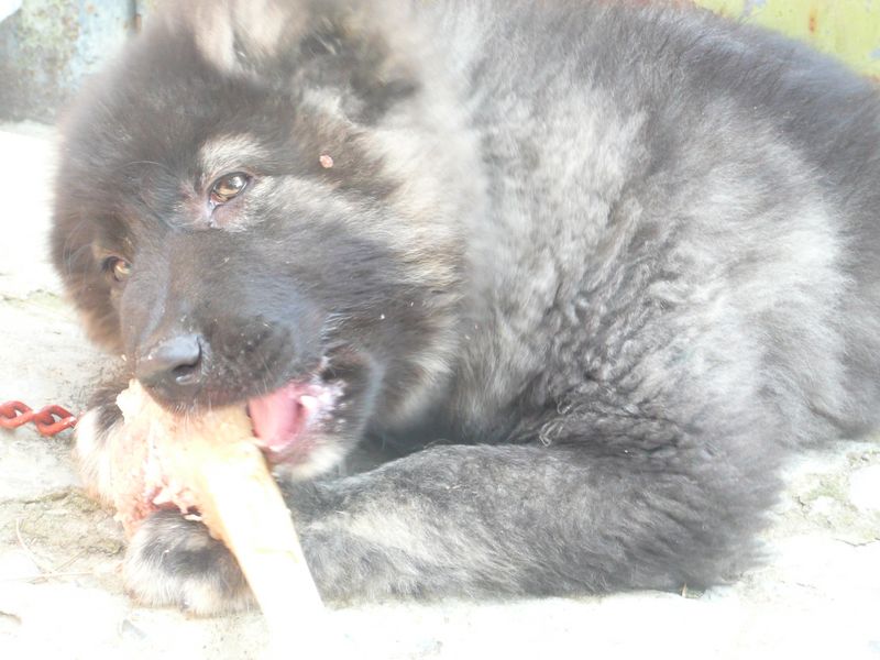 P1090171__800x600_.JPG