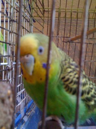 IMG_0059.jpg