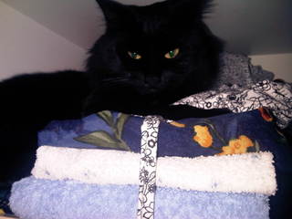 img00140201007041217.jpg