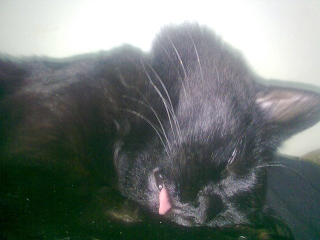 13052010752.jpg