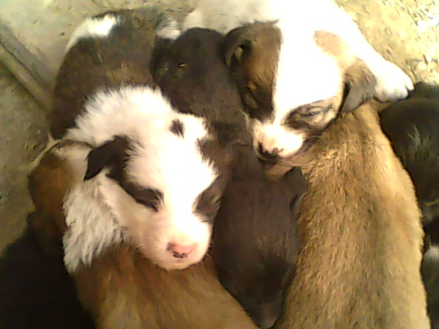 IMG0174A.jpg