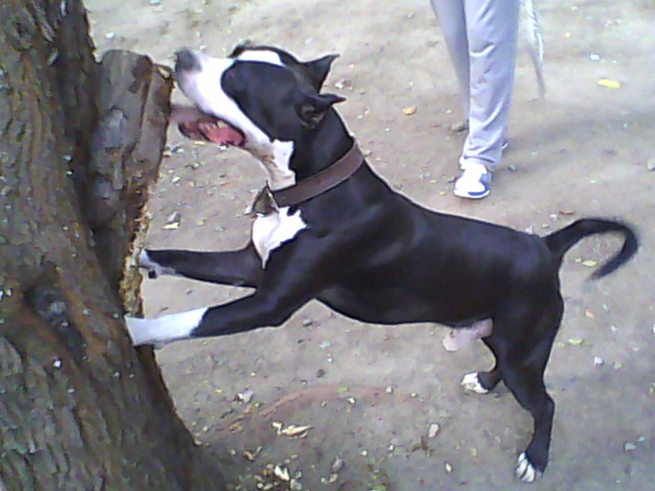 IMG0119A.jpg