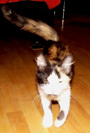 2011_0220luka0019.JPG
