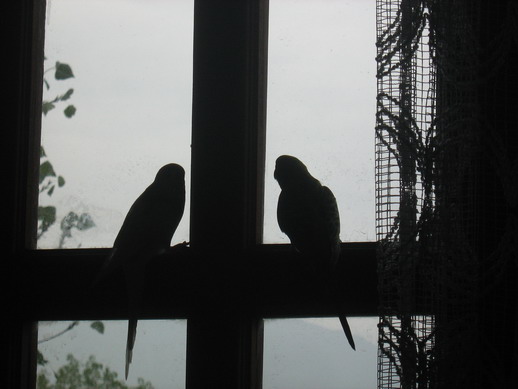 koko_tatuka_2_022a.jpg