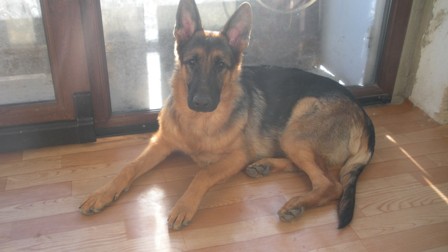 DSCN7526.JPG