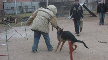 DSCN7496.JPG