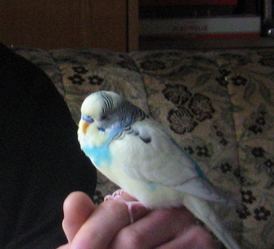 d_1_koko_fefo2_011.jpg