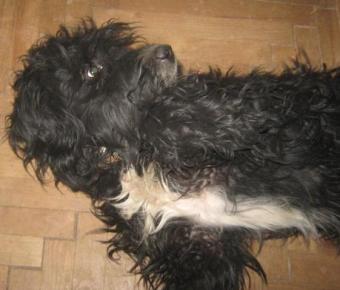 Picture_010.jpg