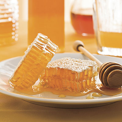 19_honey_comb_l.jpg
