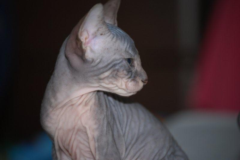 00dsc_0002.jpg