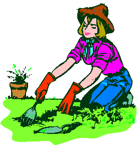 N7133016.png