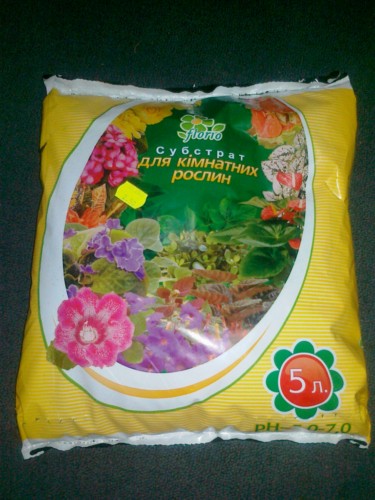 20062011100___.jpg