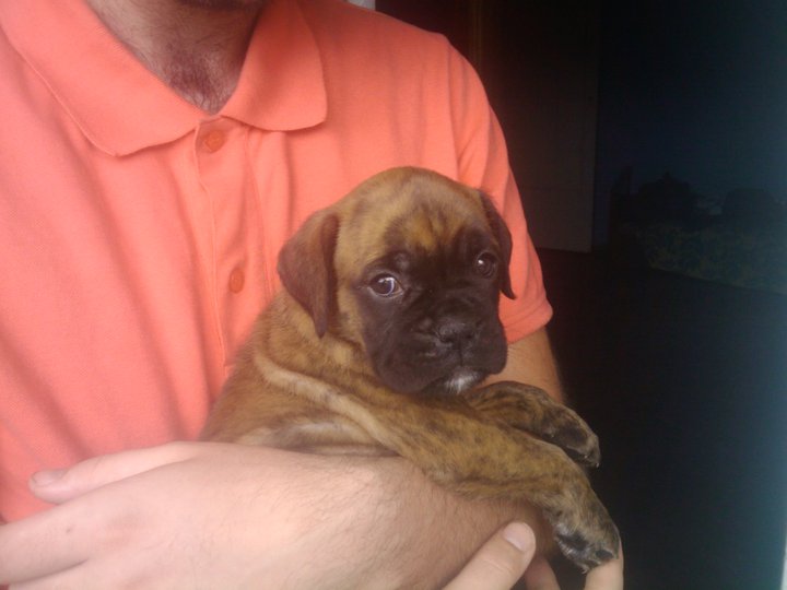 stella1.jpg