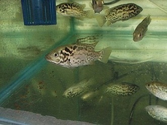 DSCF6802.JPG