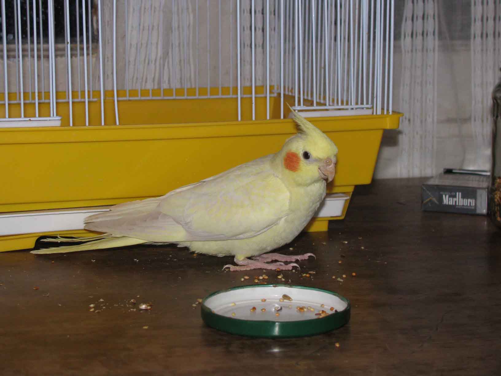 IMG_7914__.jpg