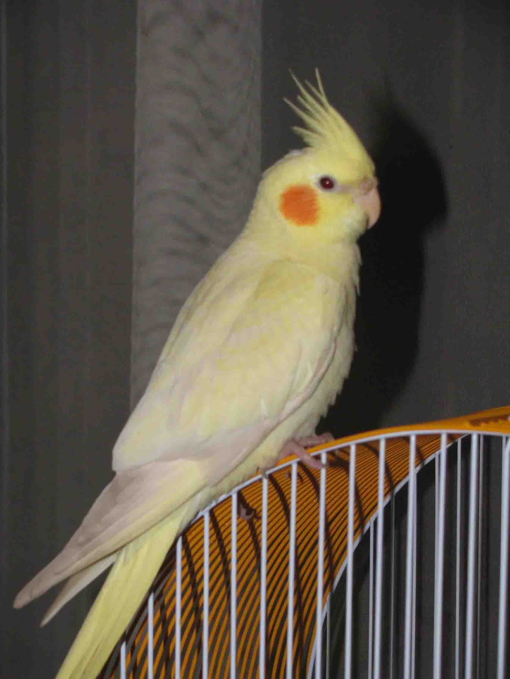 IMG_7942fffttttttttttttttttttttttt.jpg