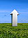 UP_1.png