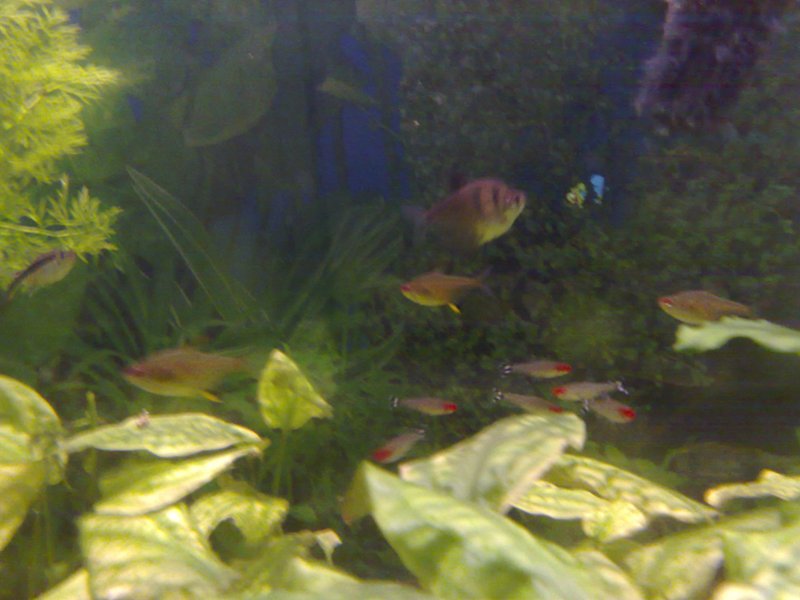 22102011726_.jpg