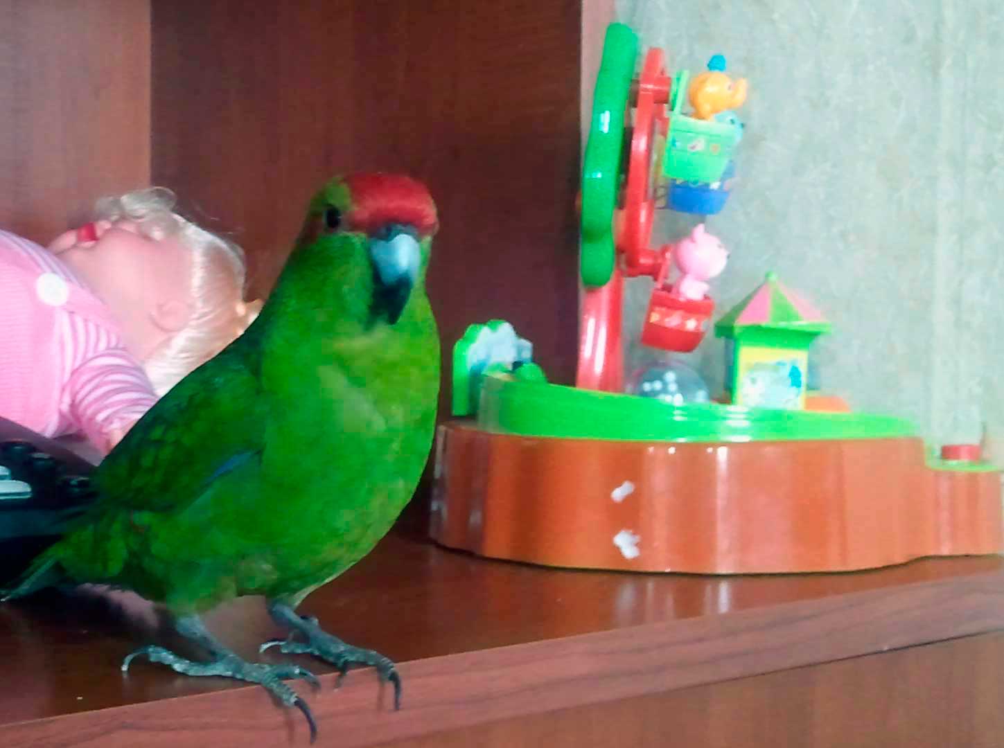 WP_000014.jpg