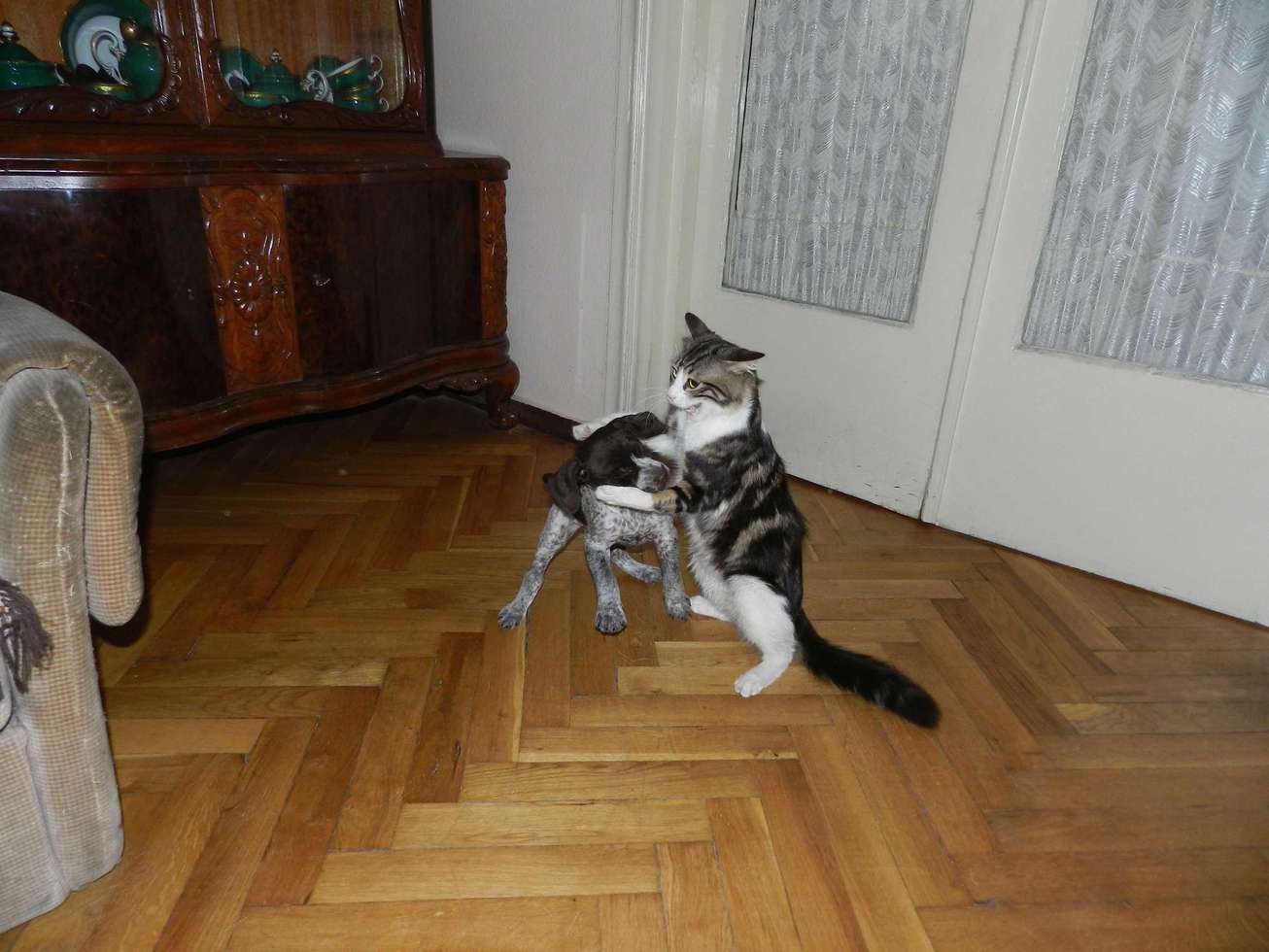 _var_www_temp_11_344_12_KHj2QOc6V2f.jpg