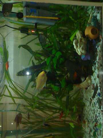 21022012167_small.jpg
