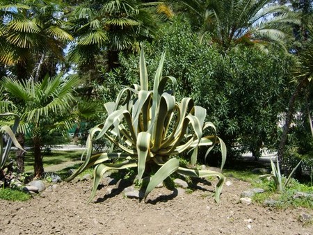 S8001804.JPG