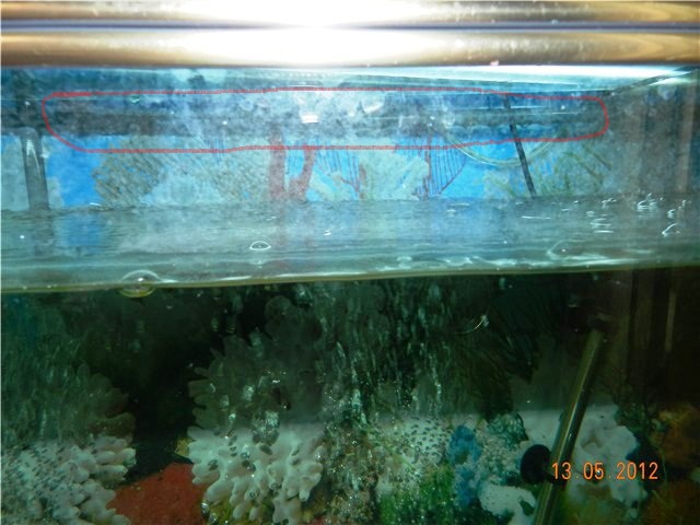 d833427164fc.jpg
