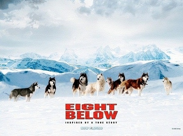 Eight_Below_021.jpg