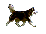 post_72_1328027878.gif