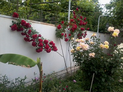 2012_05_31_15.57.43.jpg