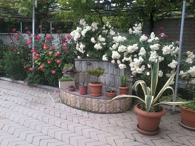 2012_05_31_15.58.41.jpg