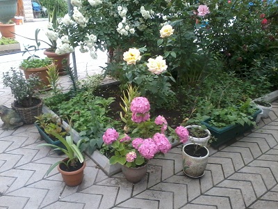 2012_05_31_15.59.17.jpg