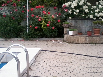 2012_05_31_16.01.33.jpg