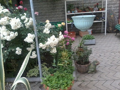 2012_05_31_16.02.31.jpg