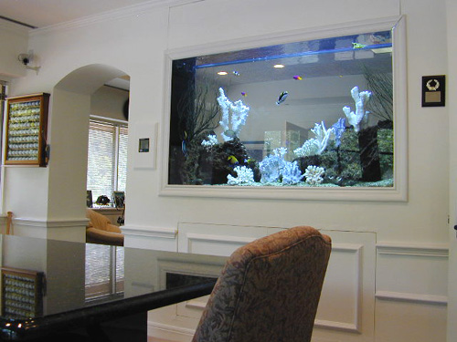 Wall_aquarium_designs.jpg
