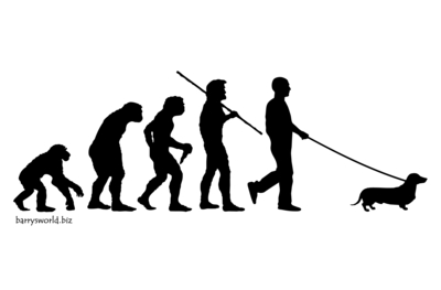 29784651_400x400.jpg