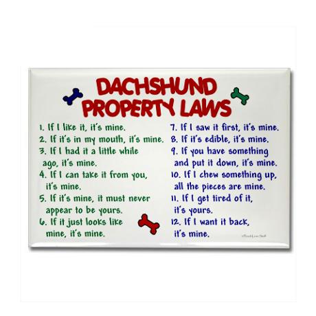 dachshund_property_laws_2_rectangle_magnet.jpg