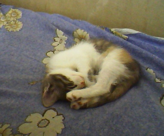 image201207110003.jpg