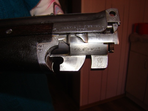 gun.jpg