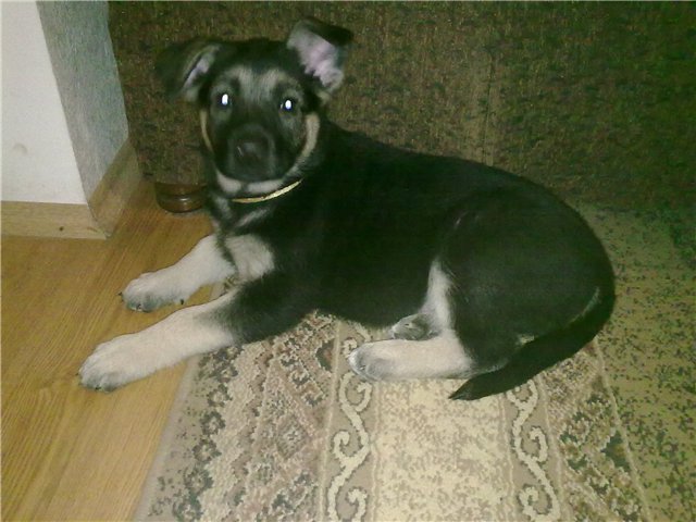 241220122593.jpg