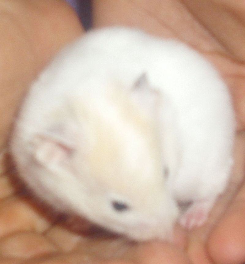 DSCI0774.JPG