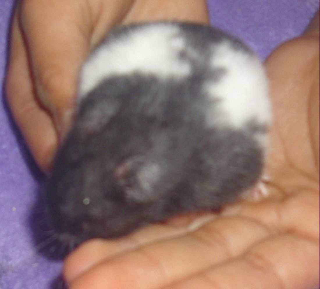 DSCI0777.JPG