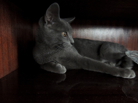 DSCN0129.JPG
