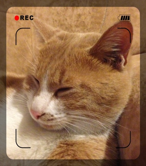 image.jpg