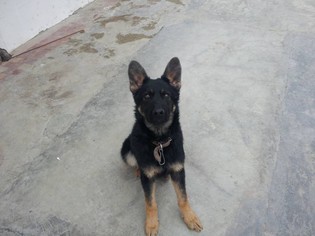 20130309_123438.jpg