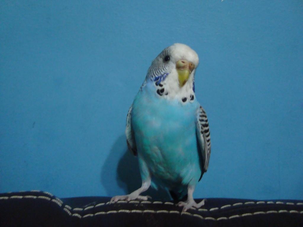 DSC00328.JPG