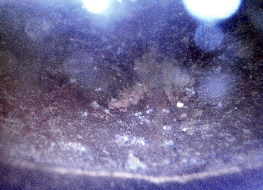 IMG_20130417_115243.jpg