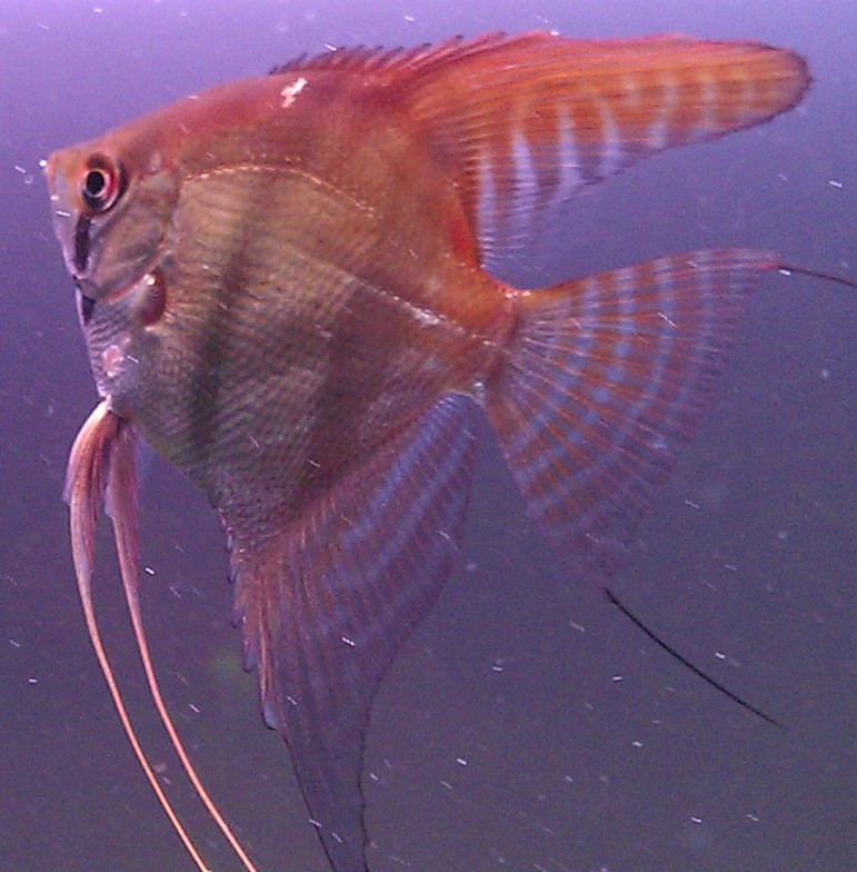 IMAG0953.jpg